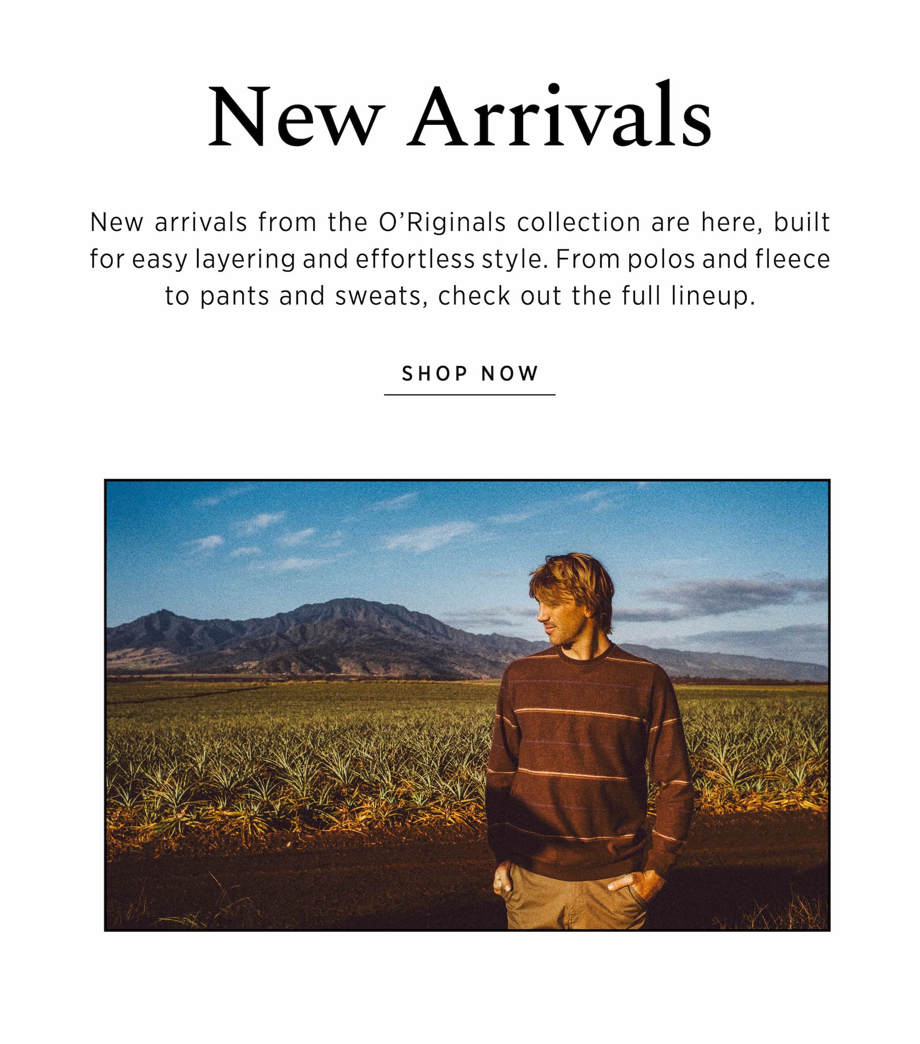 Shop Now