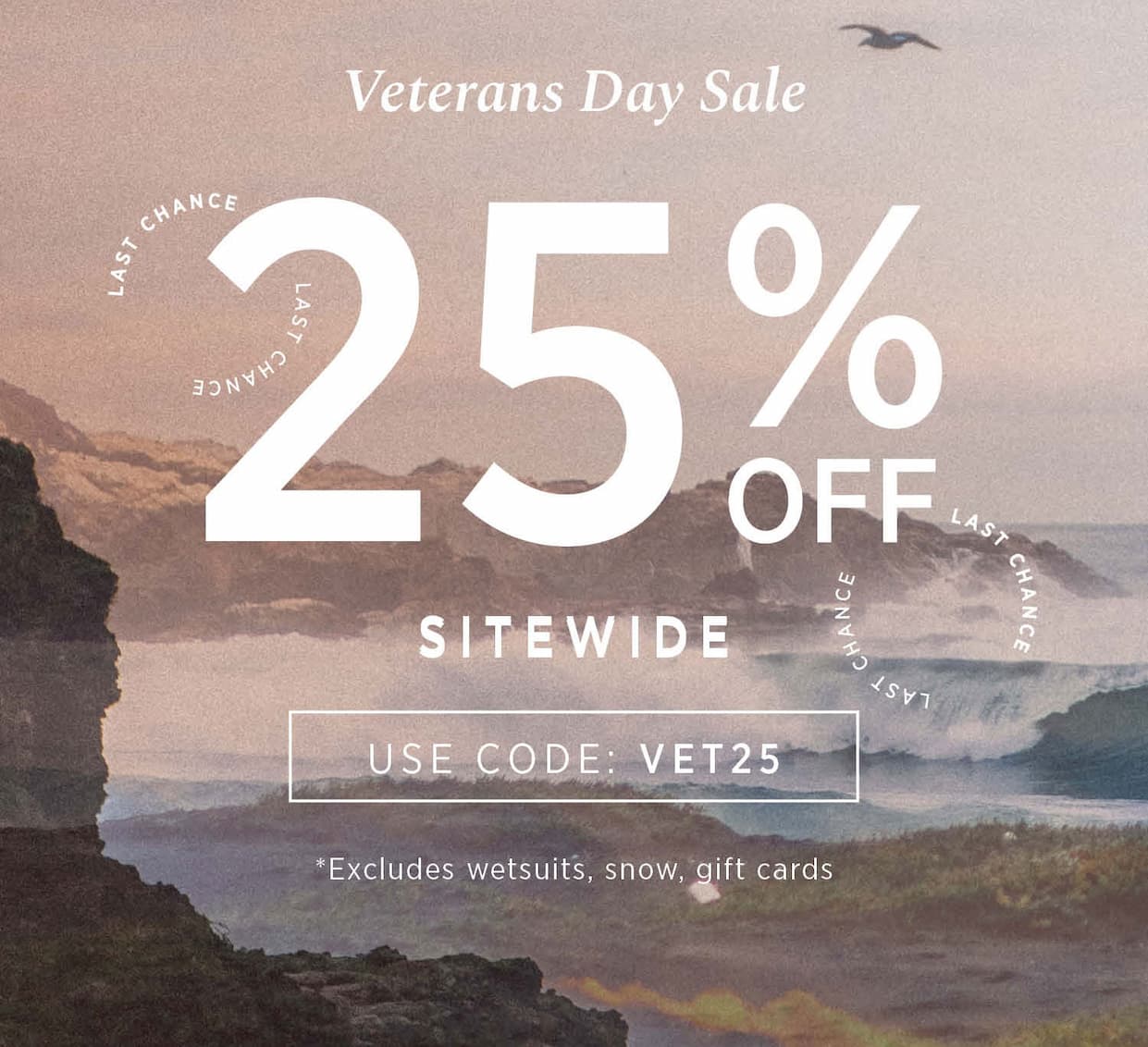 Veterans Day Sale