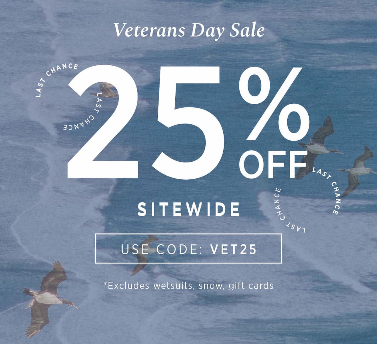 Veterans Day Sale
