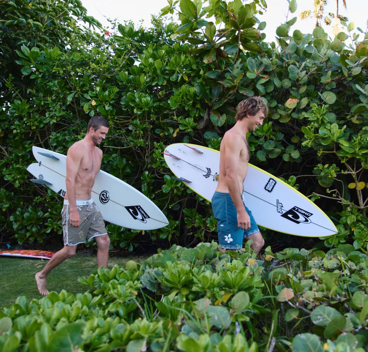 New Summer Arrivals - Boardshorts - Shop Now
