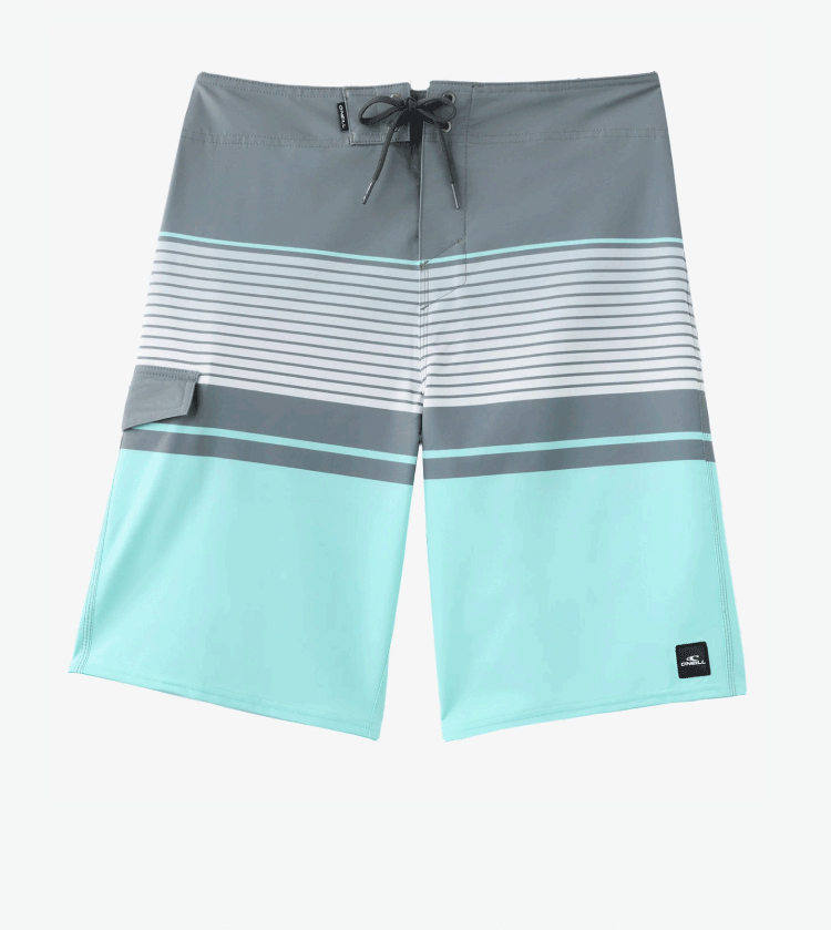 Lennox Stripe 21" Boardshorts
