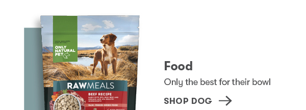 Shop Dog