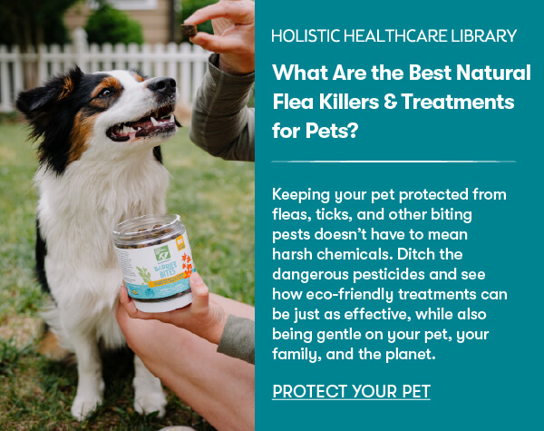 What are the Best Natural Flea Killers & Treatments for Pets?