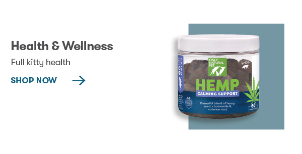 Health & Wellness