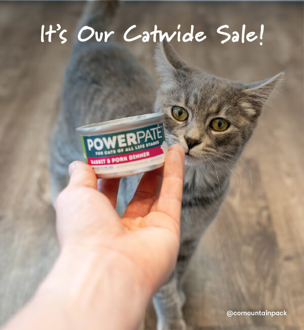 15% OFF ALL Cat Products Sitewide