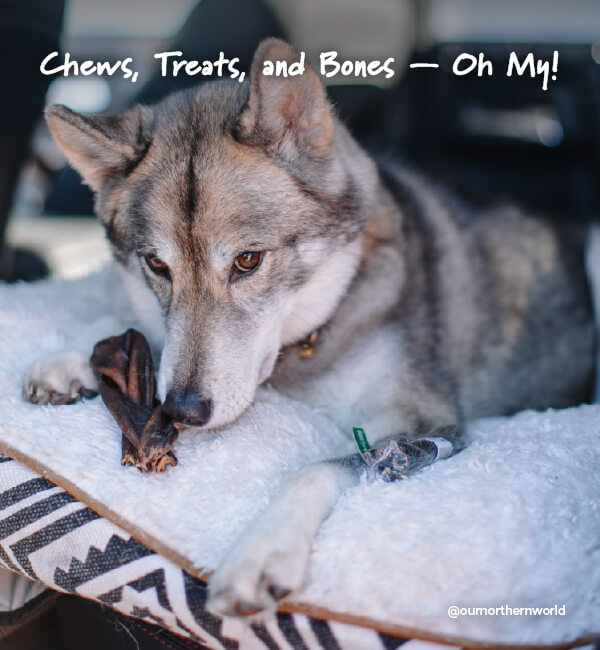Buy 4, Get 20% OFF ALL Chews, Treats, & Bones