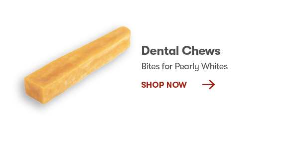 Dental Chews