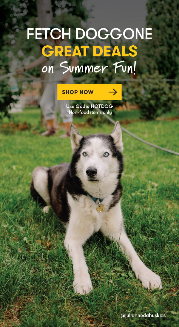 Buy 4, Get 20% OFF ALL Chews, Treats, & Bones