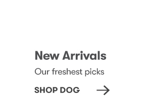 Shop Dog