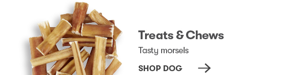 Gear for Dogs
