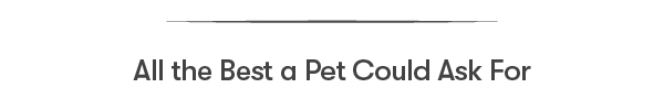 All the Best a Pet Could Ask for