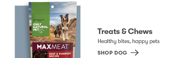 Shop Dog