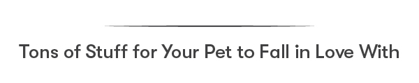 Tons of Stuff for Your Pet to Fall in Love With