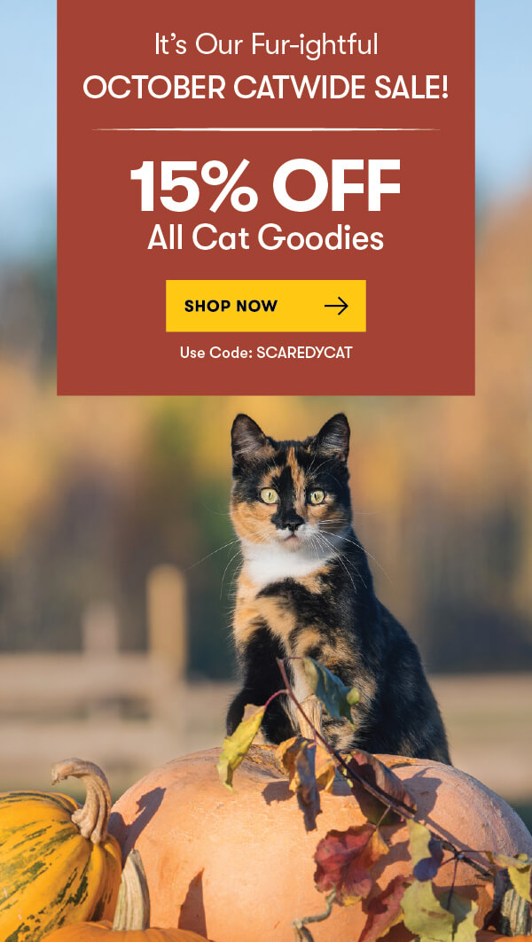 15% OFF ALL Cat Products Sitewide