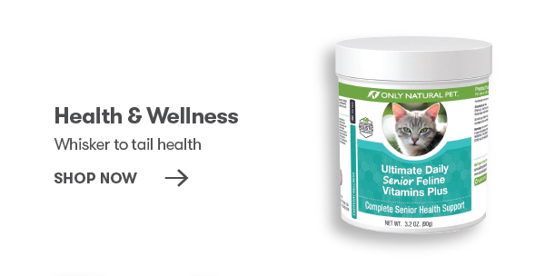 Health & Wellness