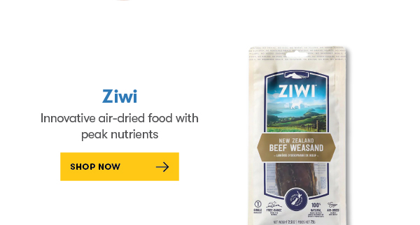 Ziwi