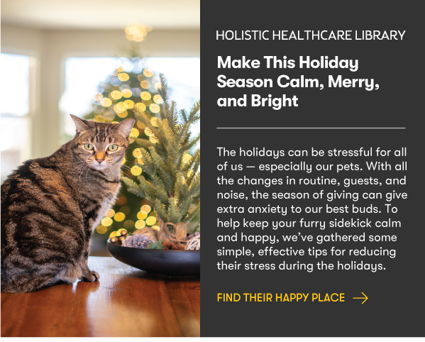 Calming Holiday Pets