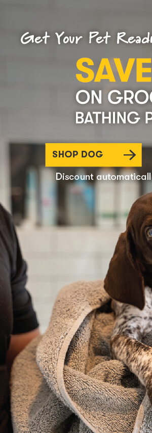 SHOP DOG