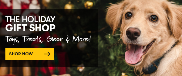 The Holiday Gift Shop