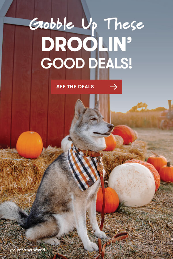 Droolin' Good Deals Time!
