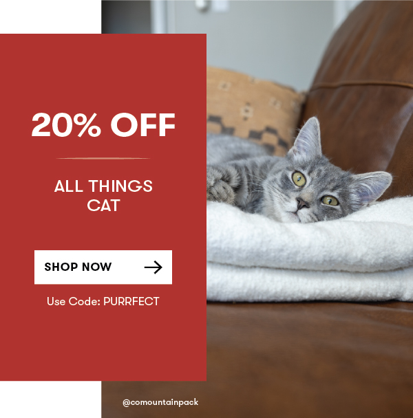 All Things Cat