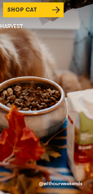 SHOP CAT