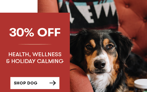 Health Wellness