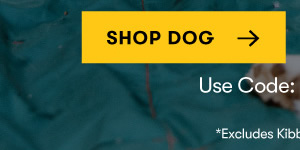 Shop Dog