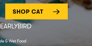 Shop Cat