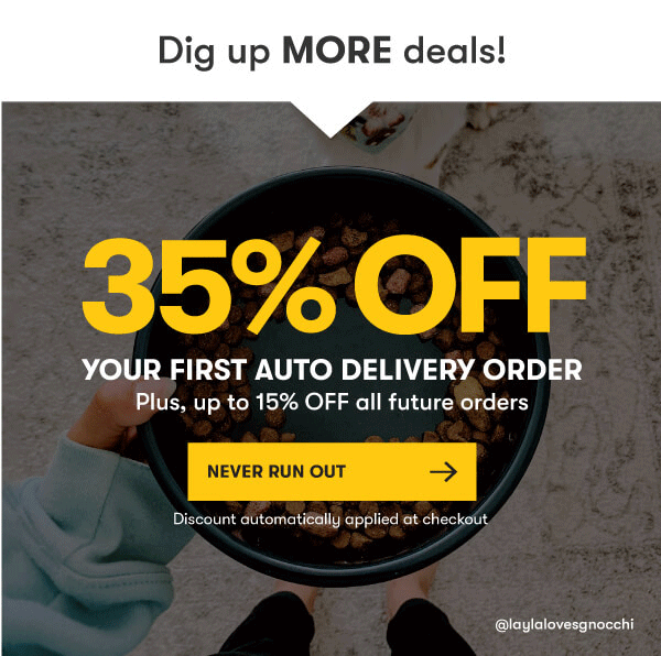 Final Black Friday Deal