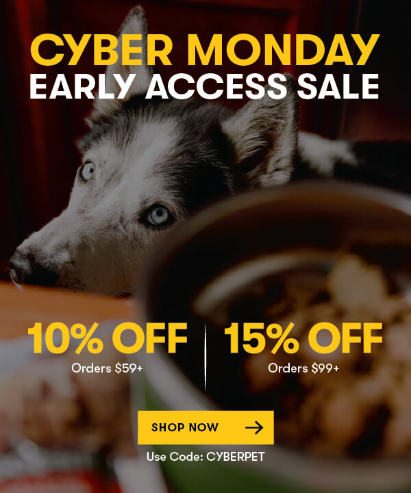 Cyber Monday Sale!