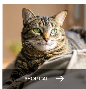 Shop Cat