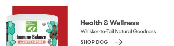 Shop Dog