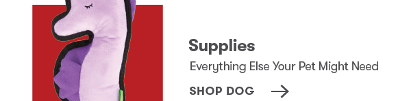 Shop Dog