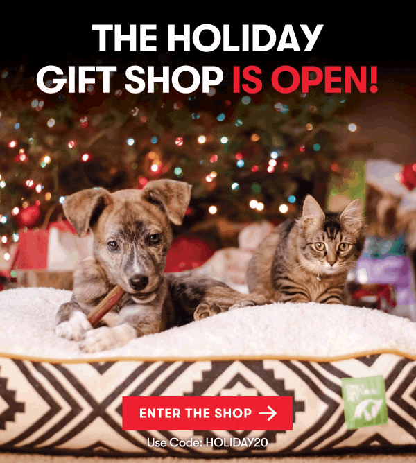 25% Off Toys, Beds, and More!