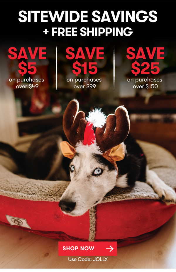 Holiday Stock Up and Save Sale