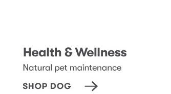 Health & Wellness