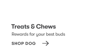 Treats & Chews