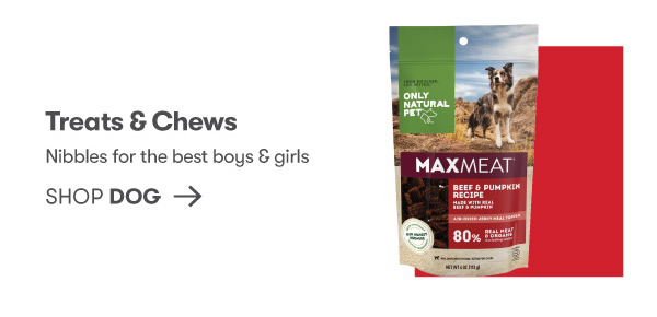 Treats & Chews