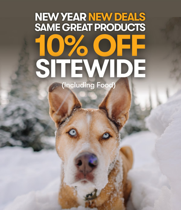 10% Off Everything