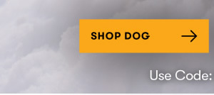 10% Off Everything