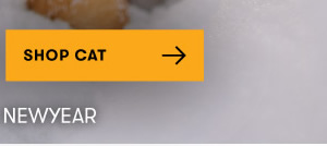 10% Off Everything