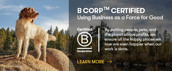 B-Corp Banner