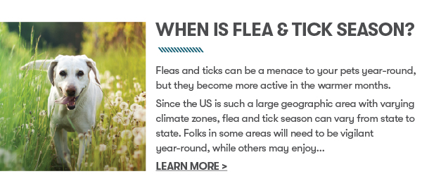When is Flea & Tick Season?