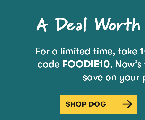 SHOP DOG
