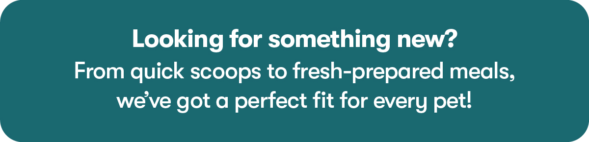 Looking for Something New?