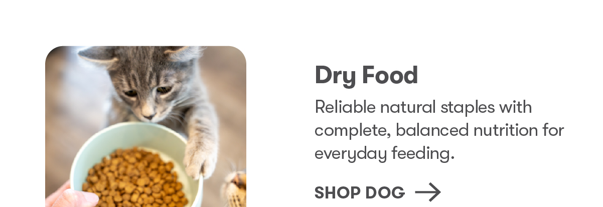 SHOP DOG
