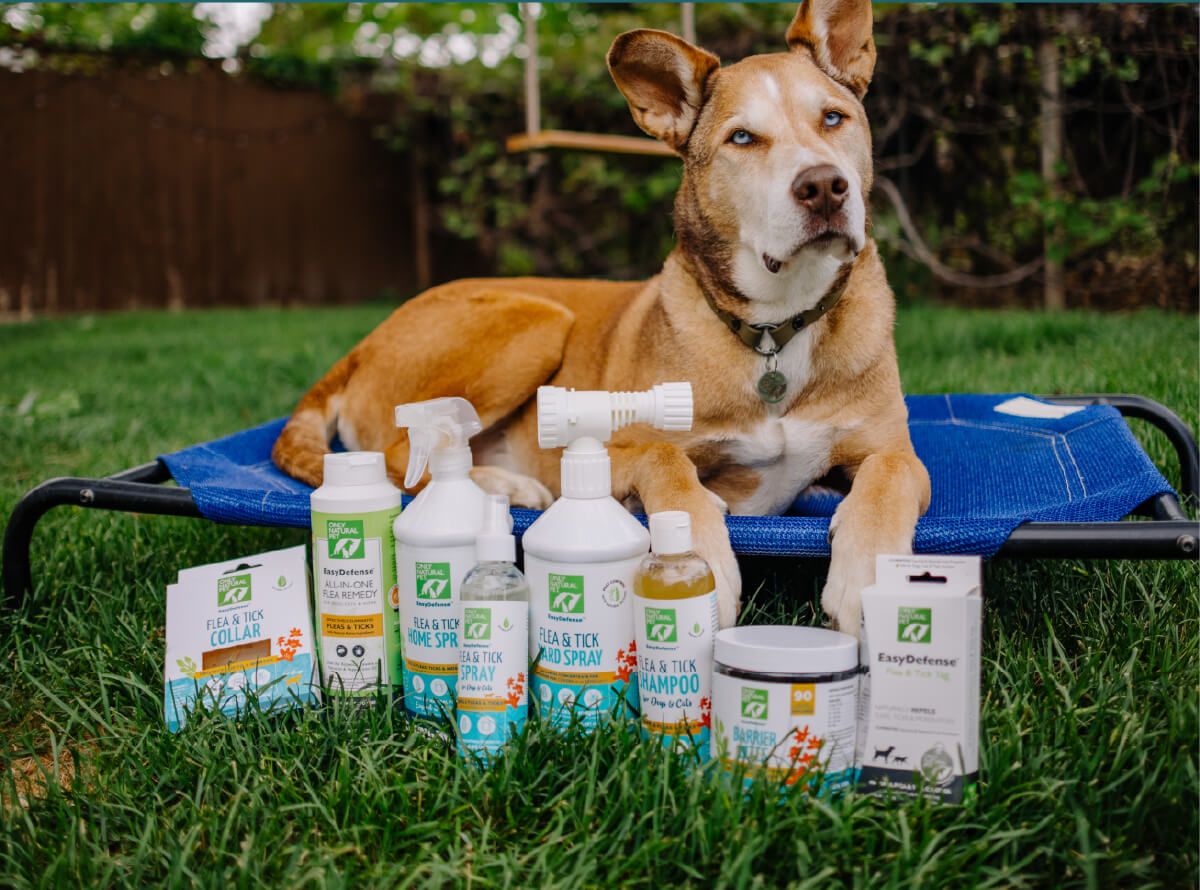 25% OFF Natural Flea & Tick Solutions