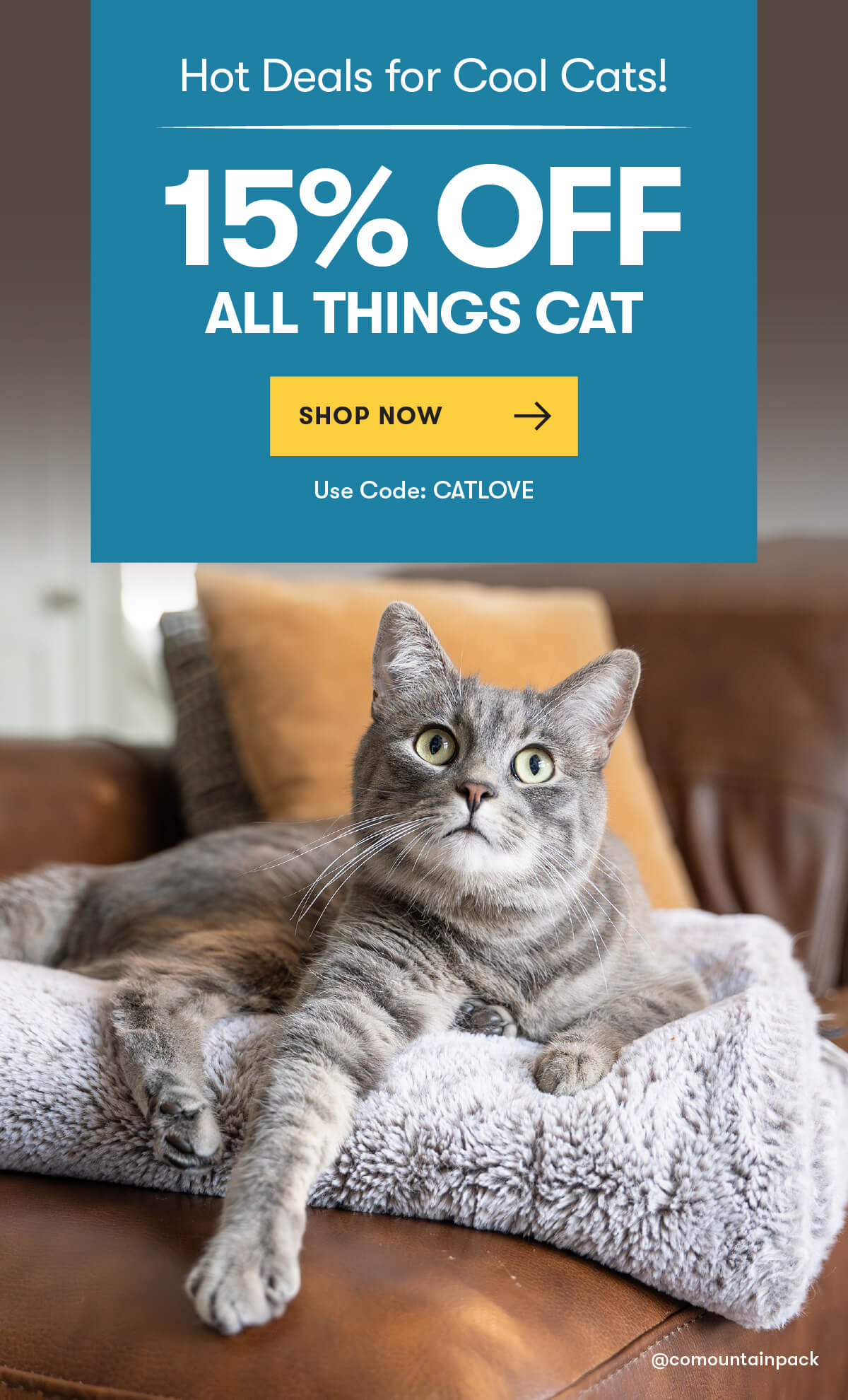 15% OFF All Cat Supplies!