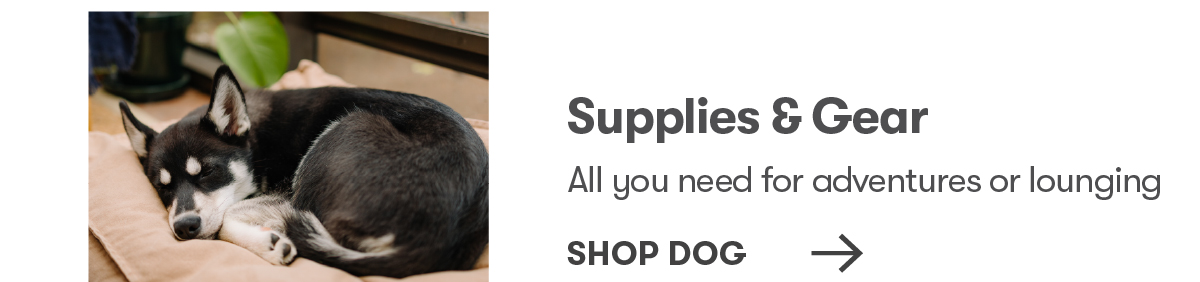 Shop Dog Supplies & Gear